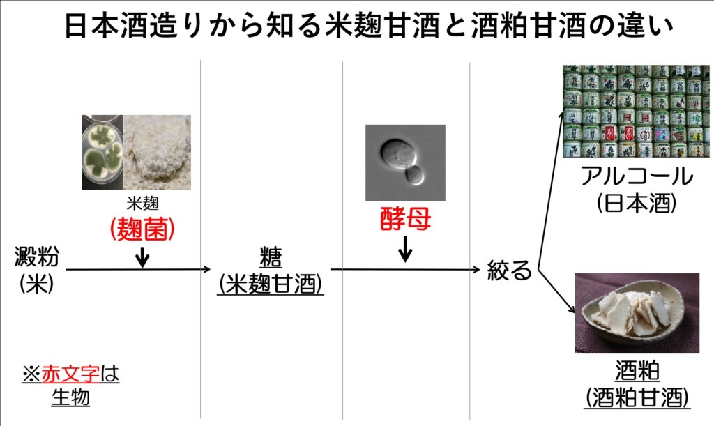 日本酒造りから解る米麹と酒粕の甘酒の違い